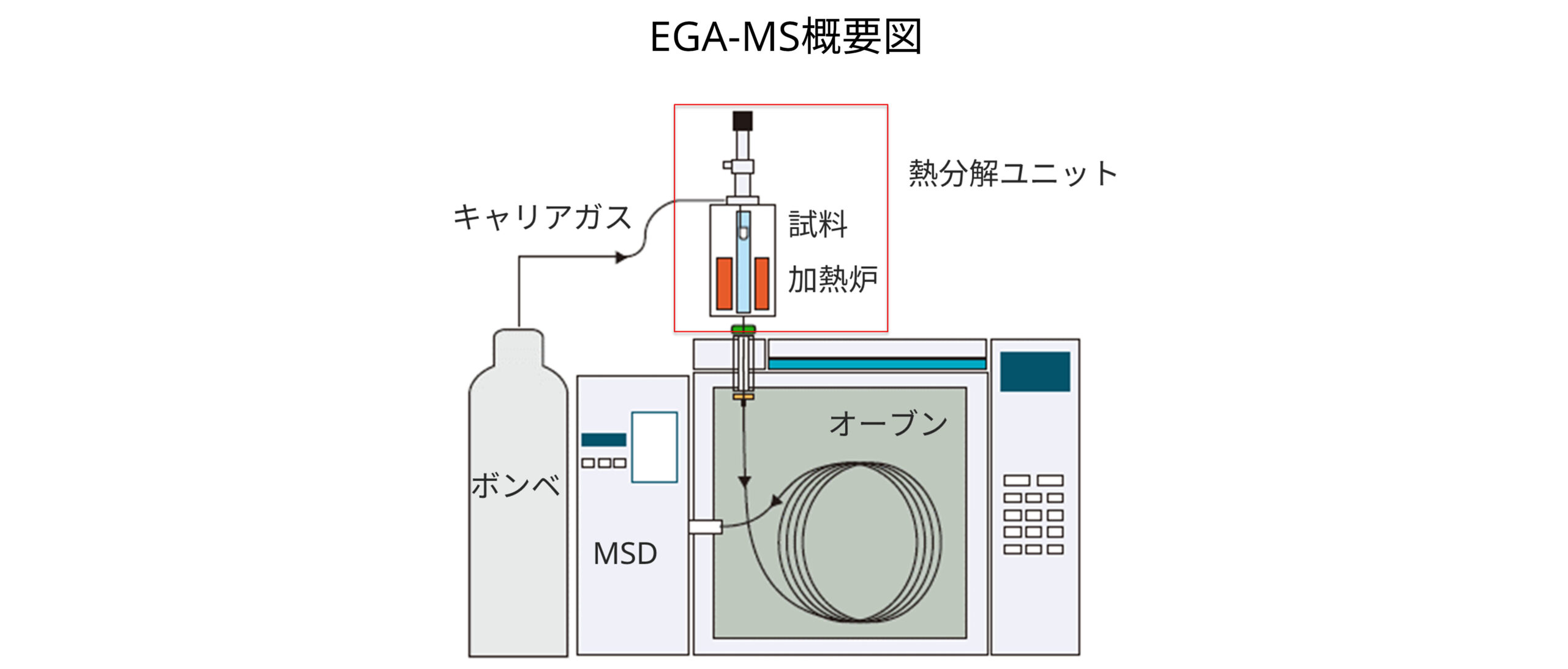 EGA-MS概要図