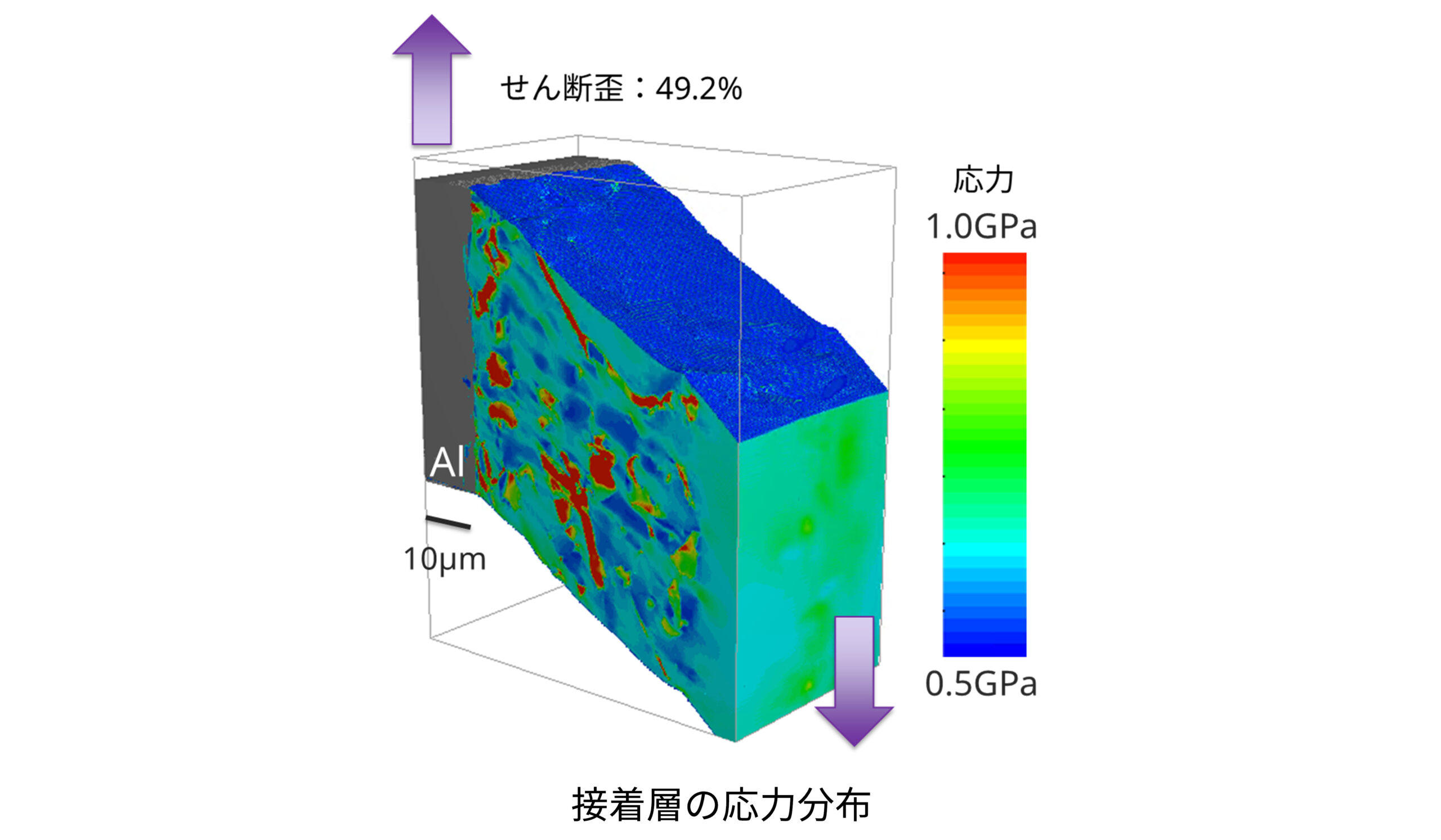 接着層の応力分布