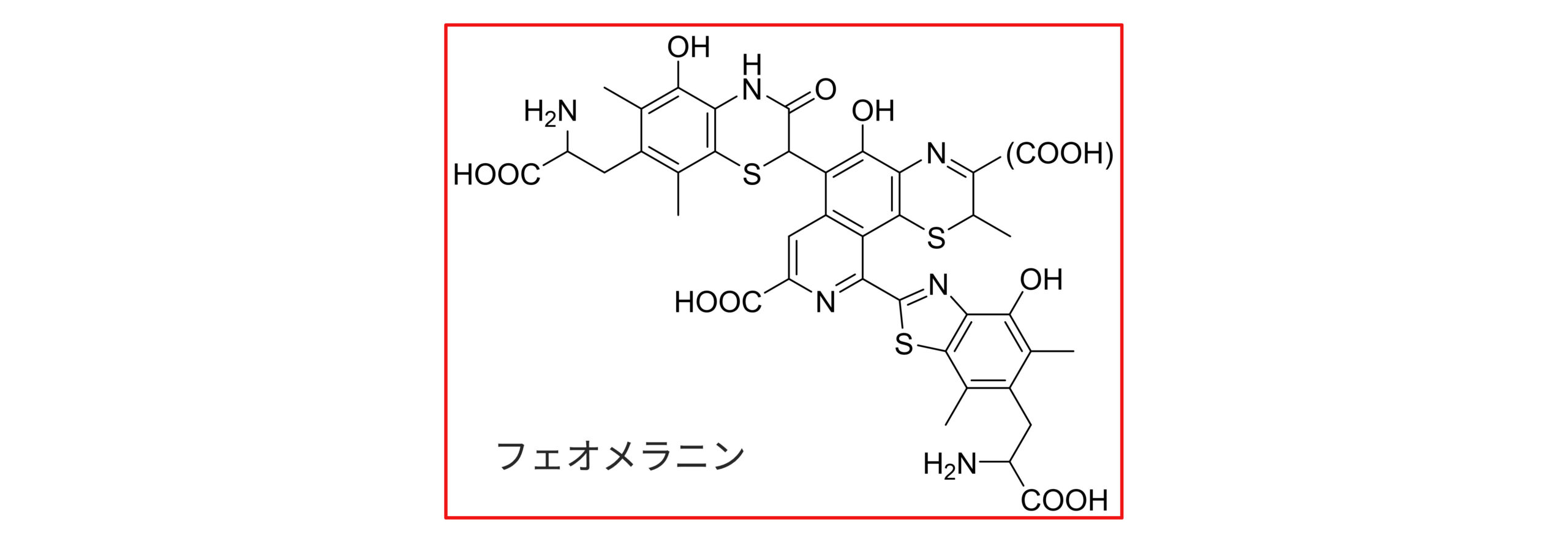 フェオメラニンの分子式