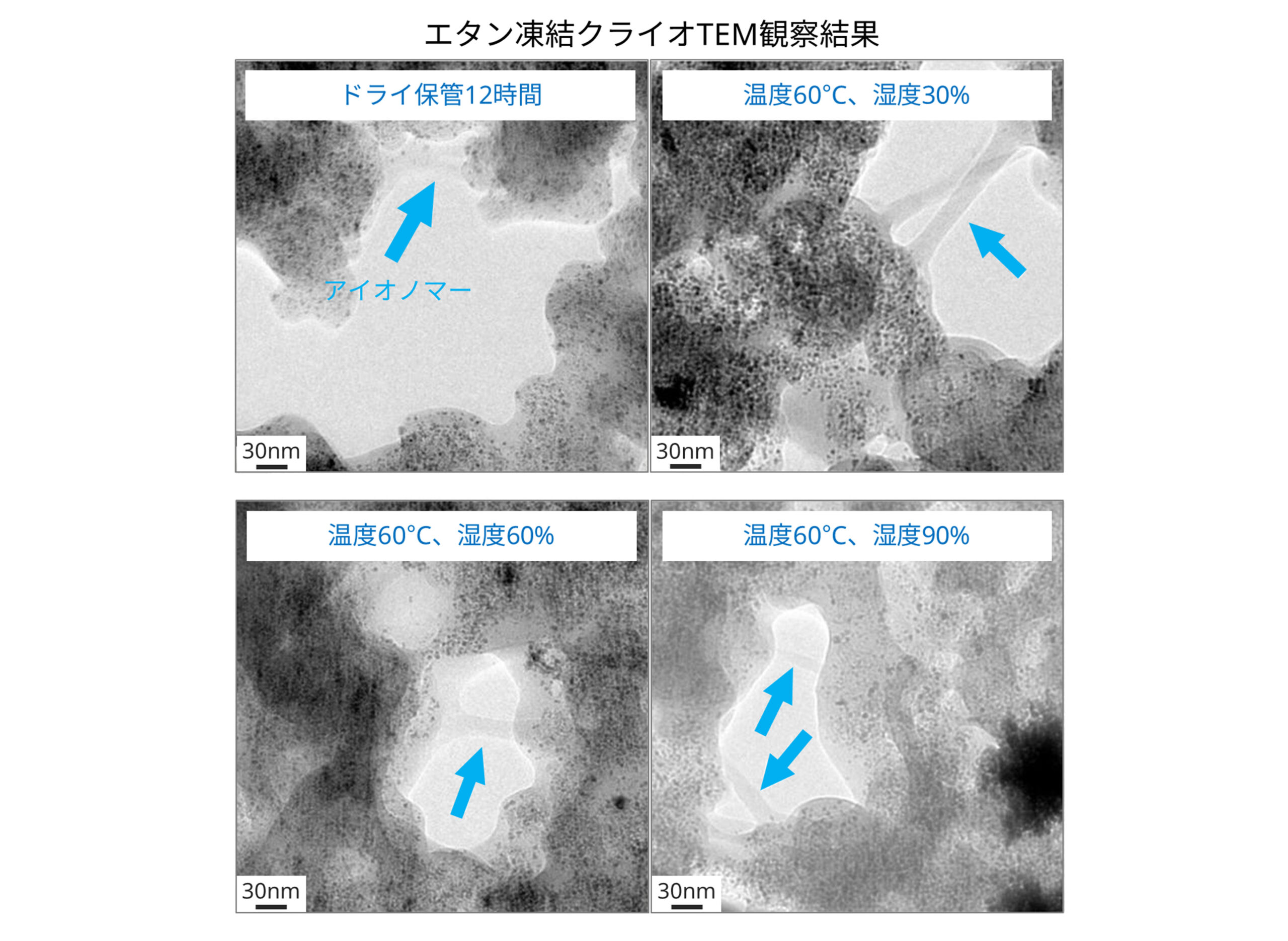 エタン凍結クライオTEM観察結果