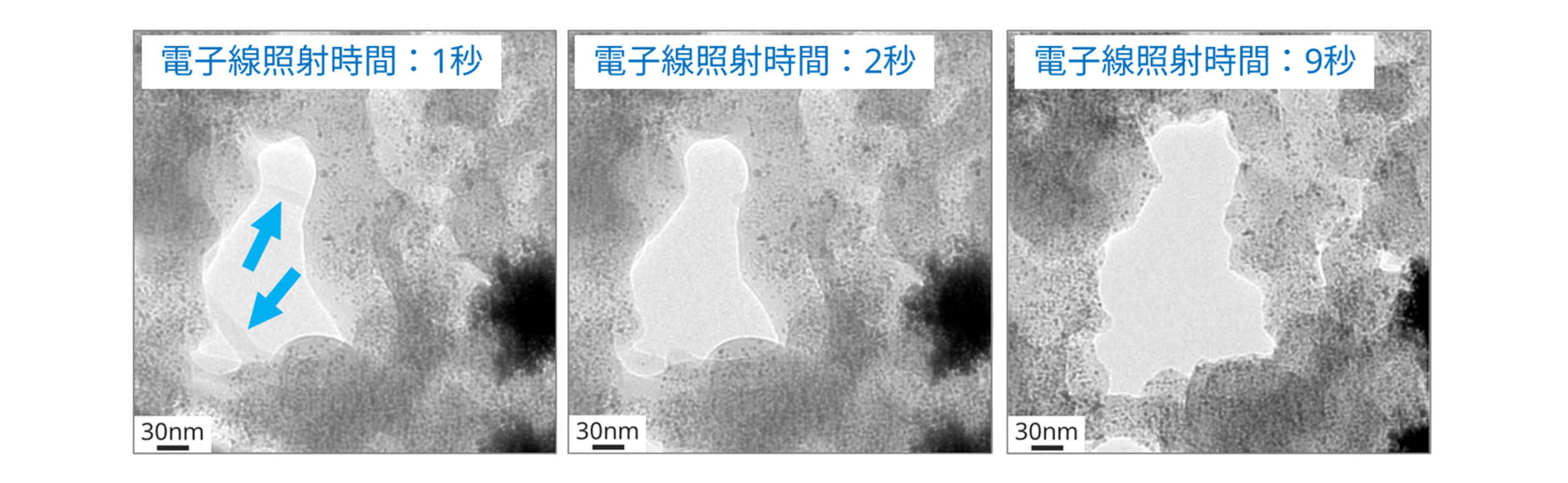 エタン凍結クライオTEM観察結果