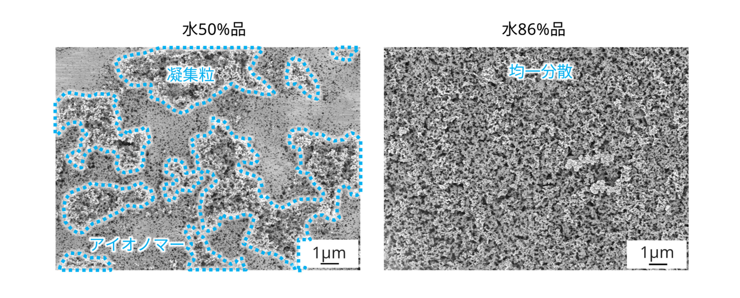 SEMによるインクの分布観察