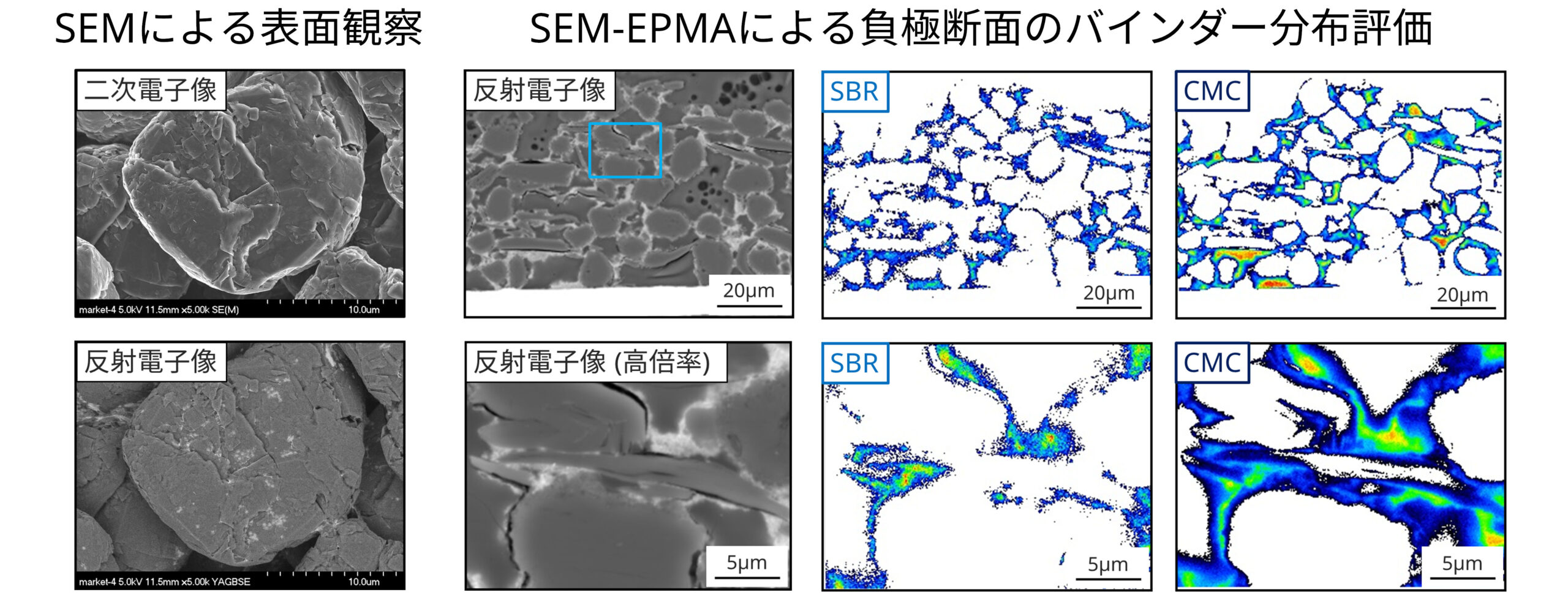 SEM-EPMAによる負極断面のバインダー分布評価