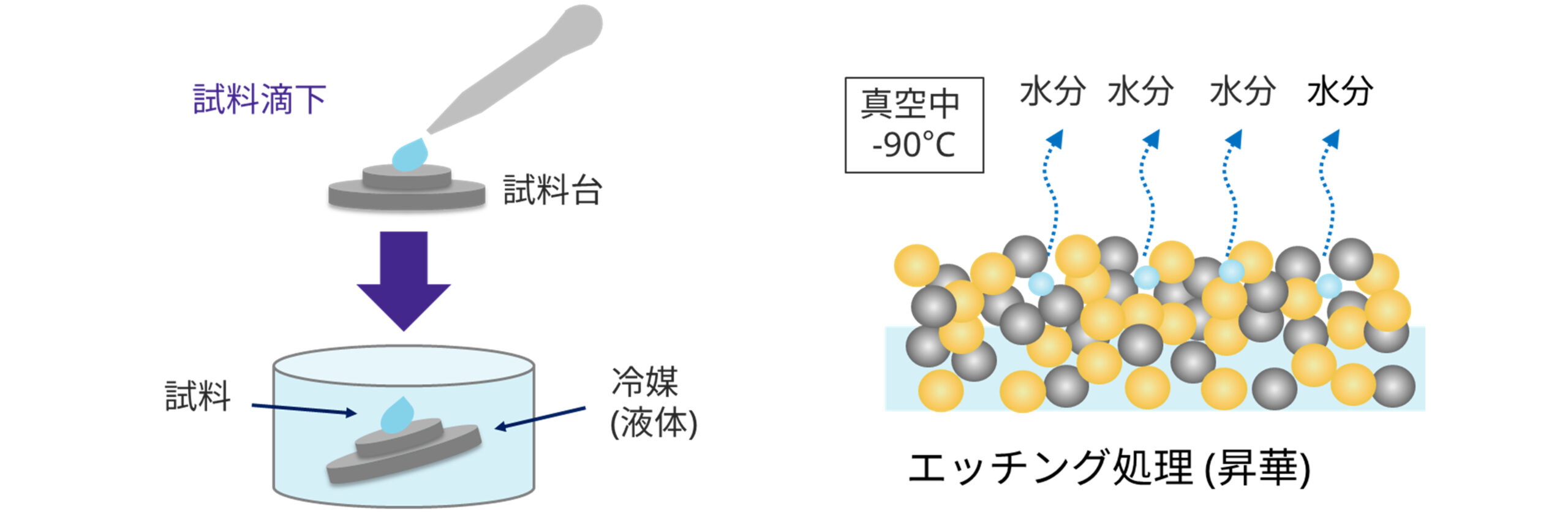 スラリーの形態観察方法
