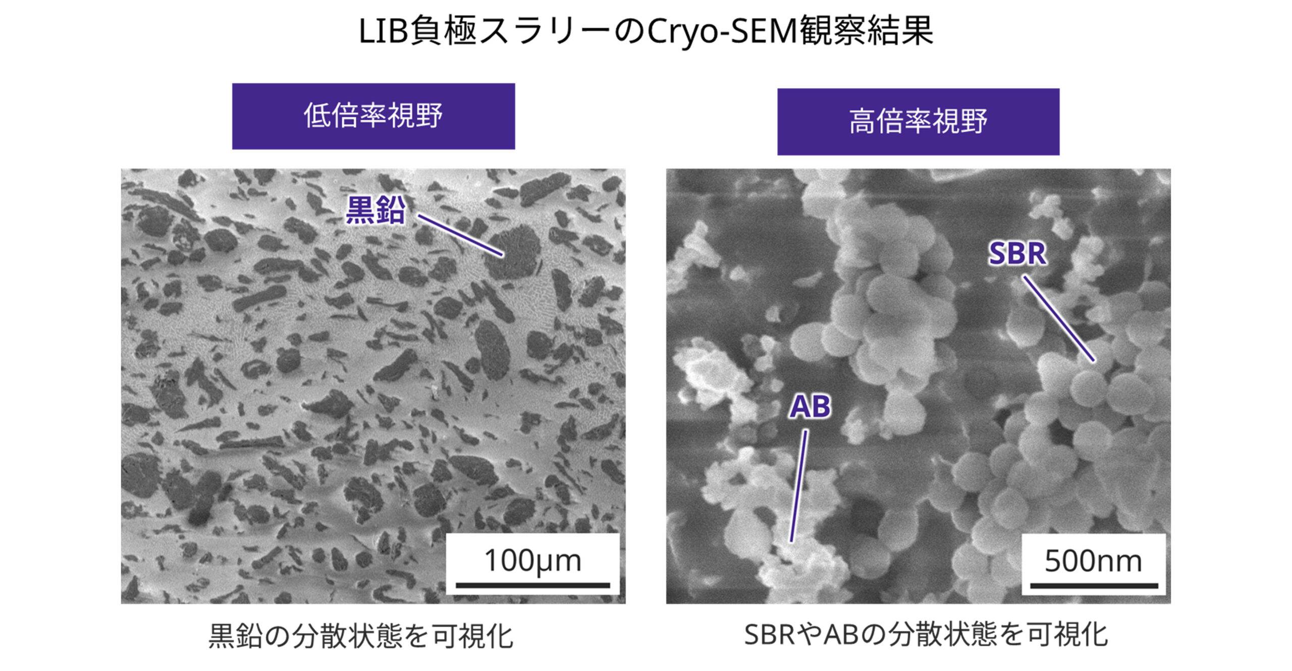 LIB負極スラリーのCryo-SEM観察結果