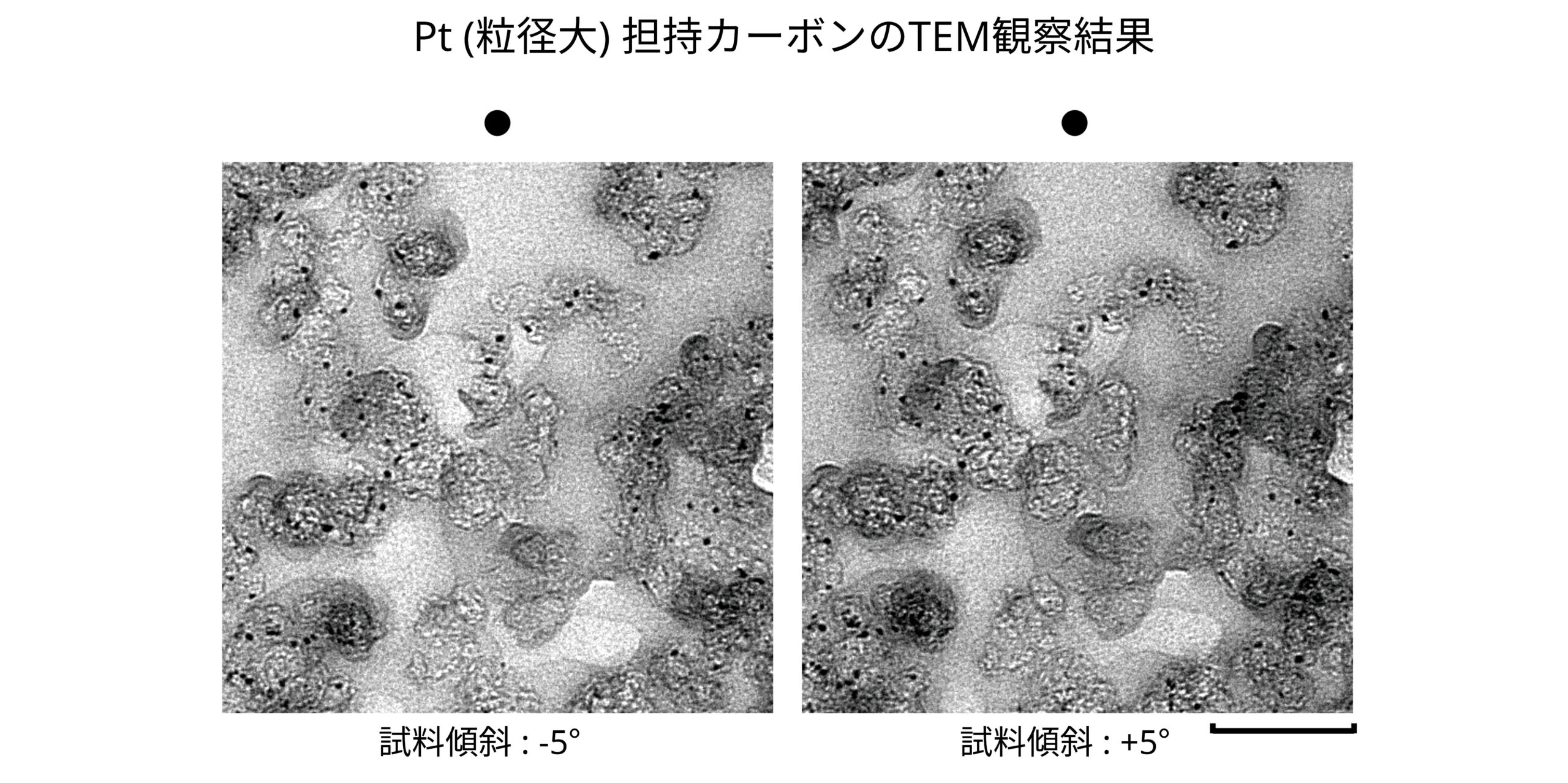 Pt (粒径大) 担持カーボンのTEM観察結果