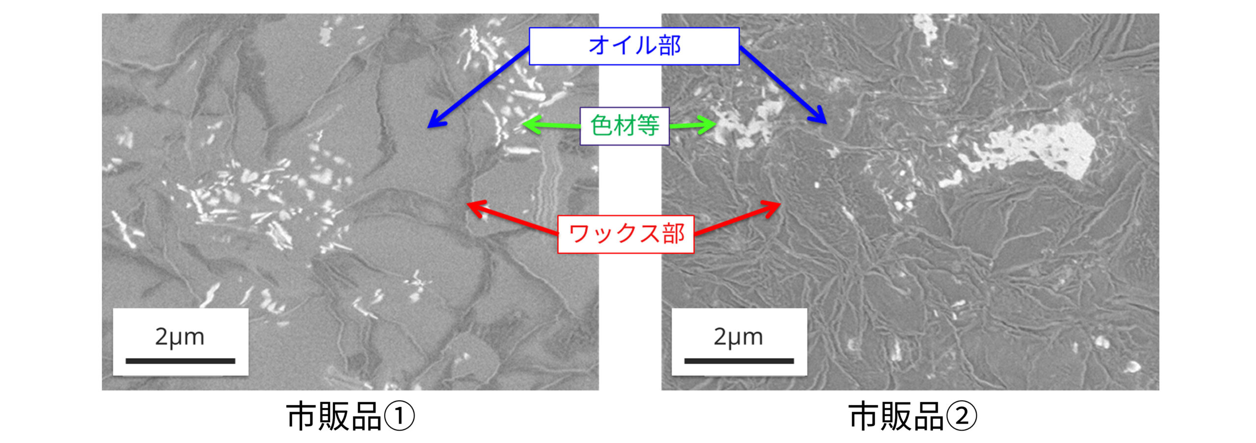 クライオSEMによる市販の口紅の分散構造の可視化