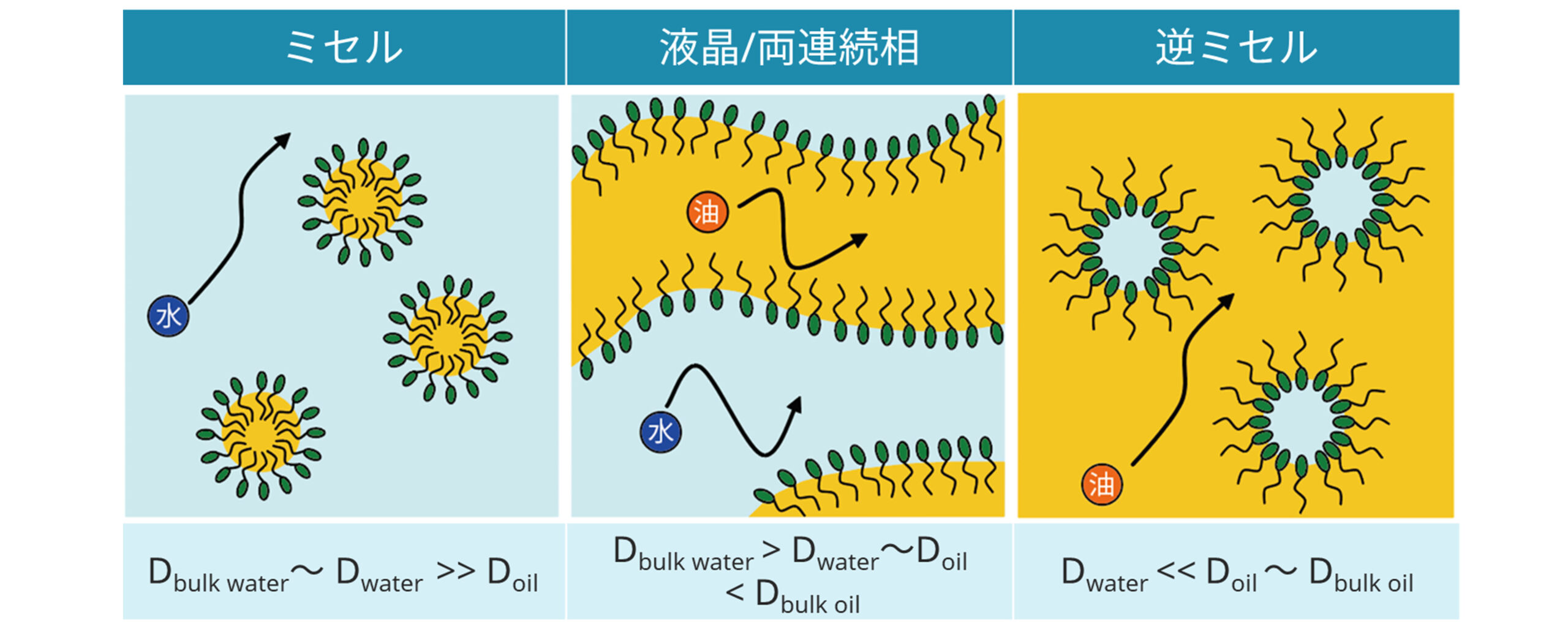 エマルションにおける相構造