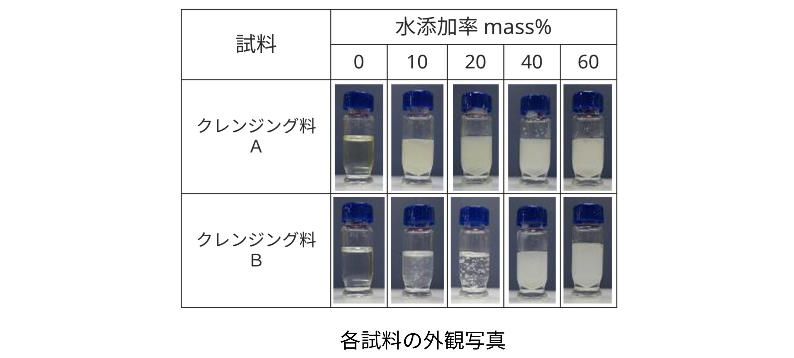 各試料の外観写真