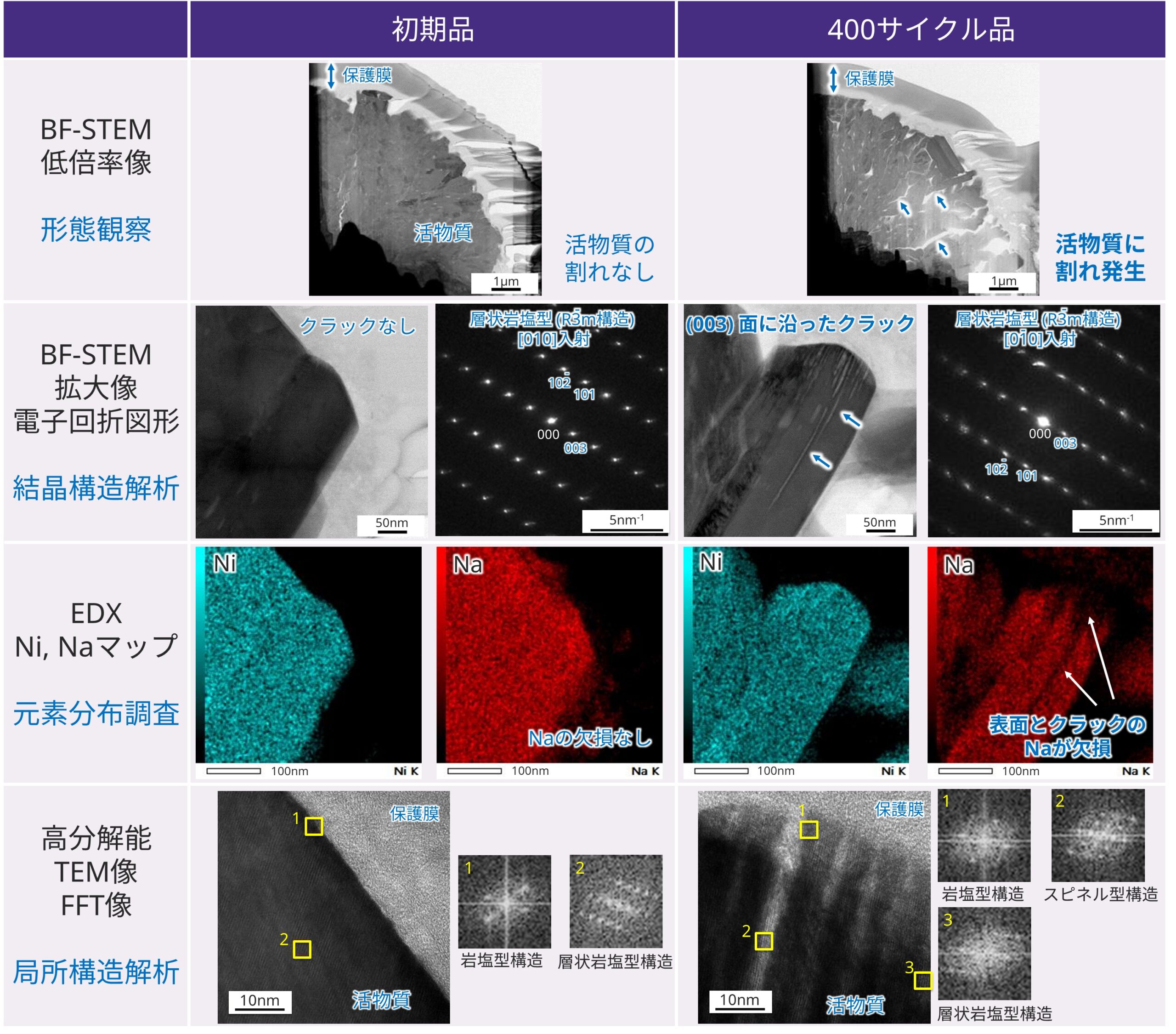 TEM-EDXによるNIB正極活物質の微細構造解析
