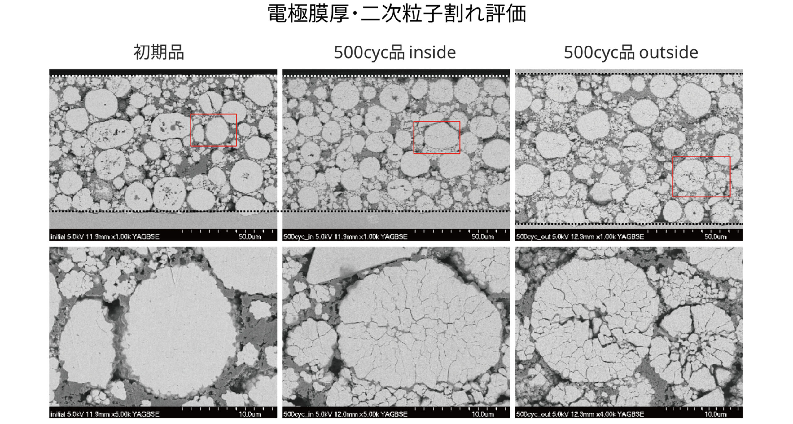 断面SEMによる電極･活物質観察