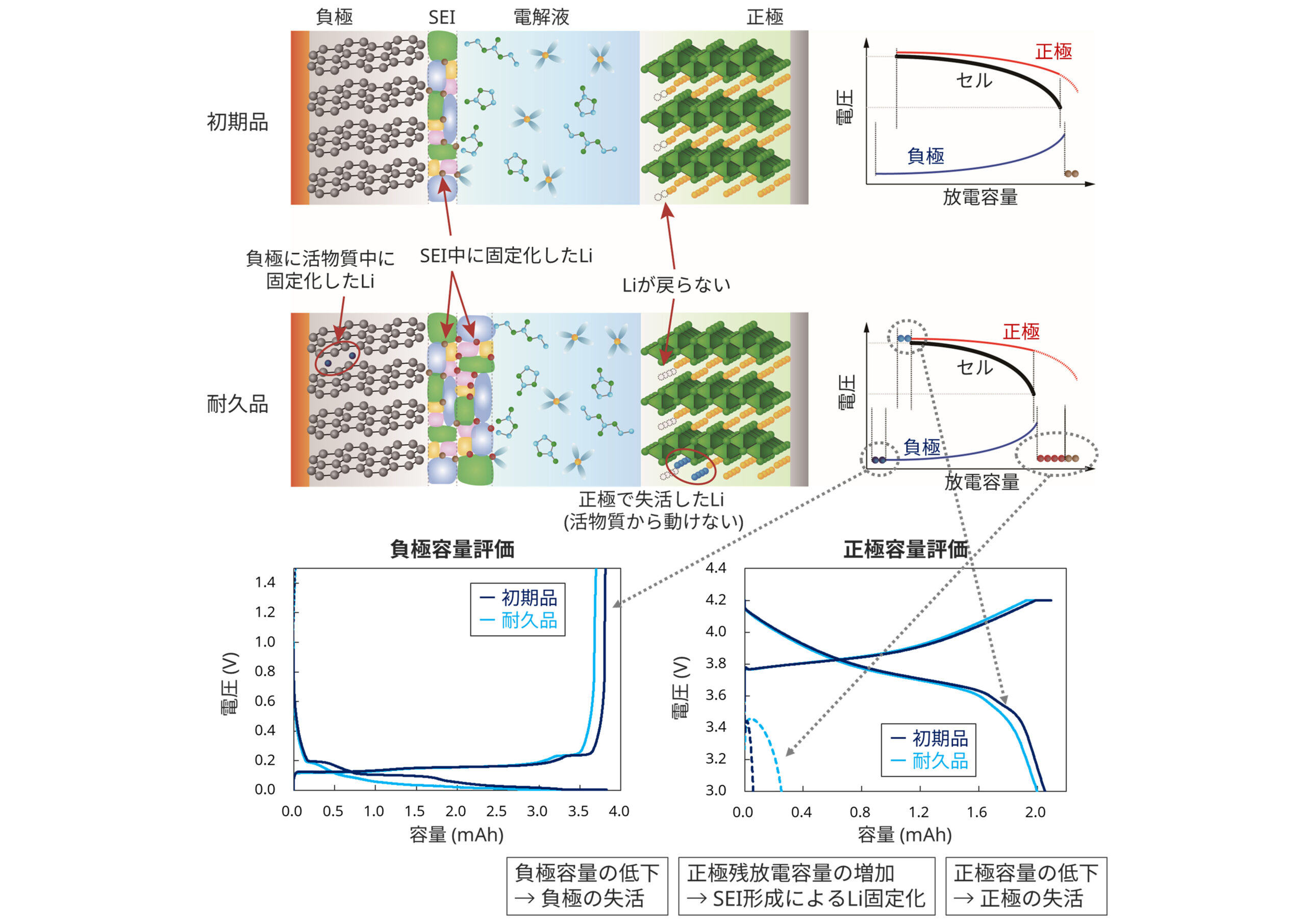 内部状態の把握と単極容量評価