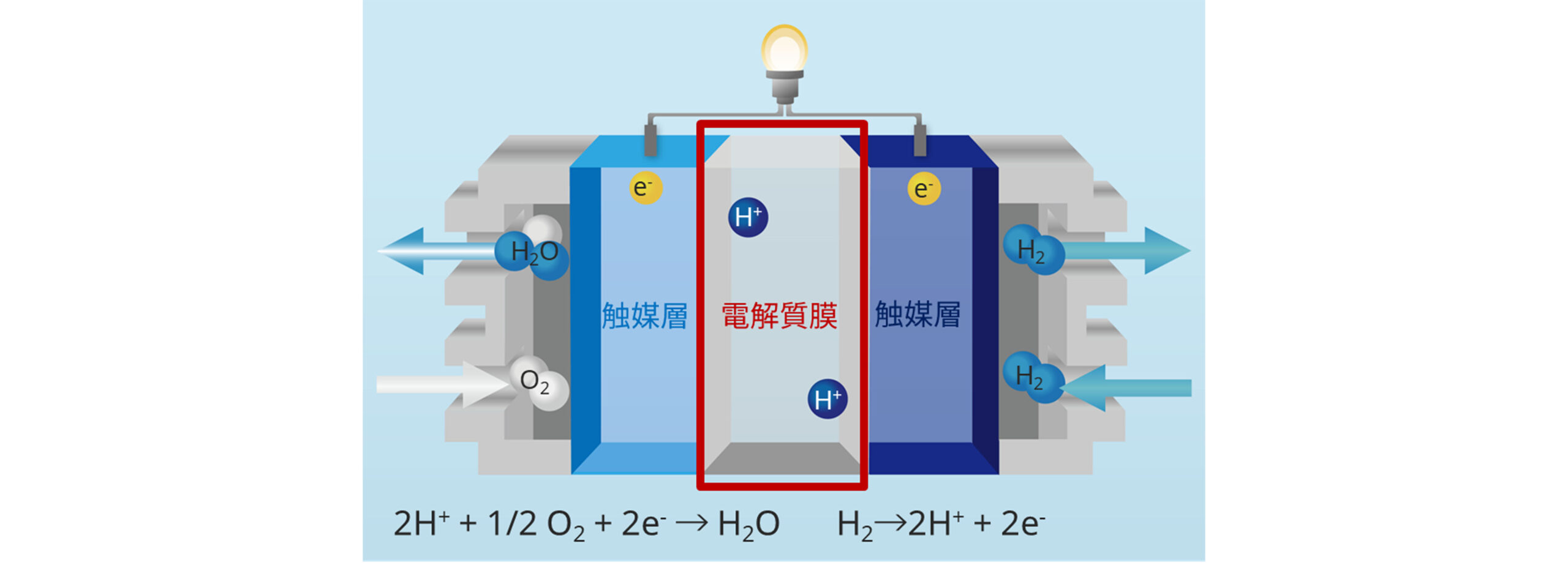 フッ素系電解質膜
