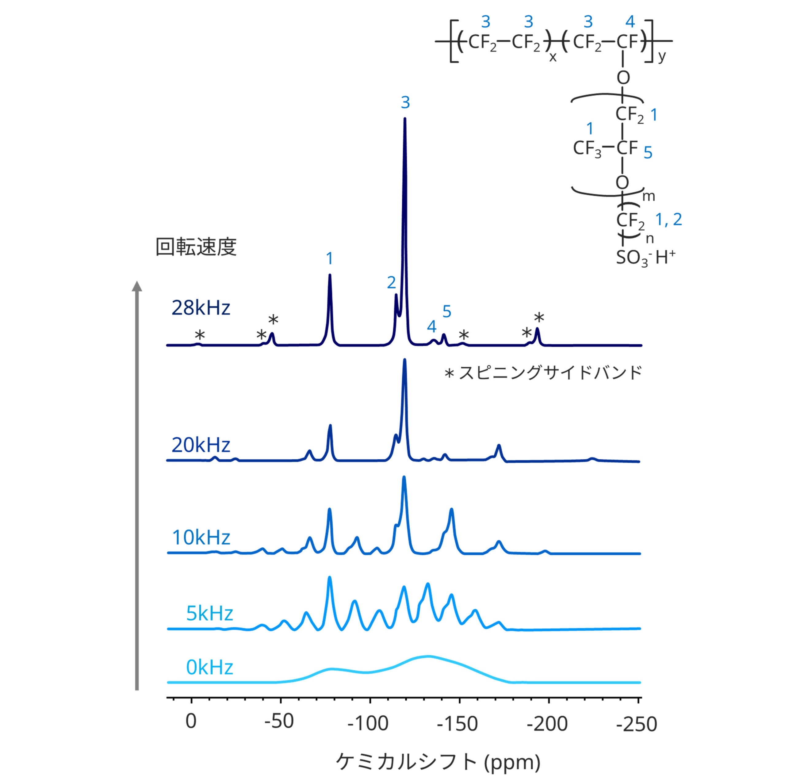 NafionTM膜の固体19F NMRスペクトル 　 MAS回転速度依存性