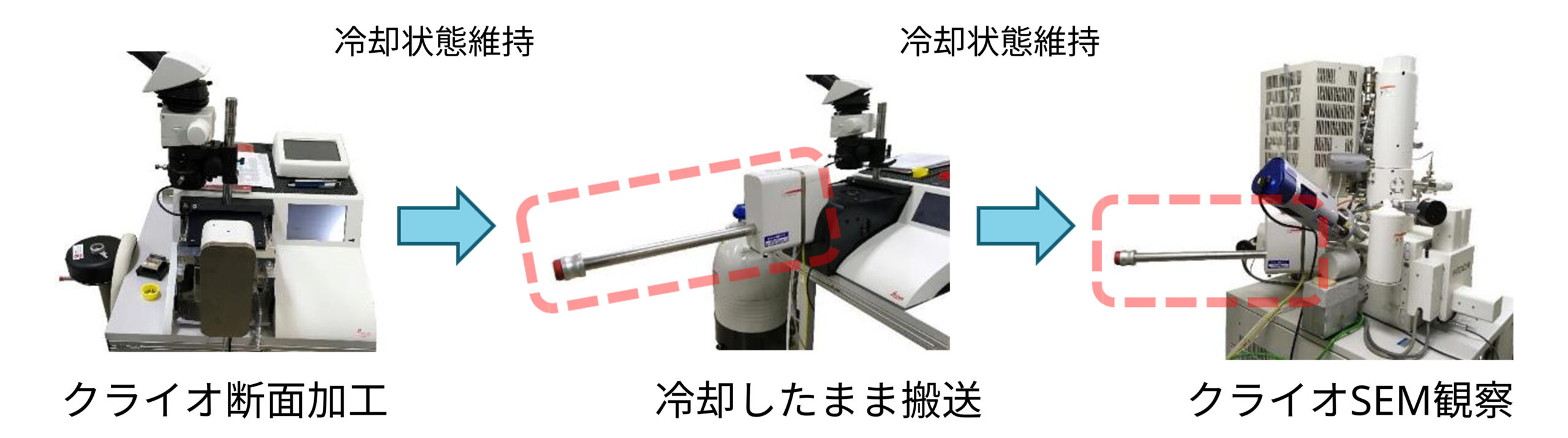 クライオ断面加工からクライオSEM観察まで