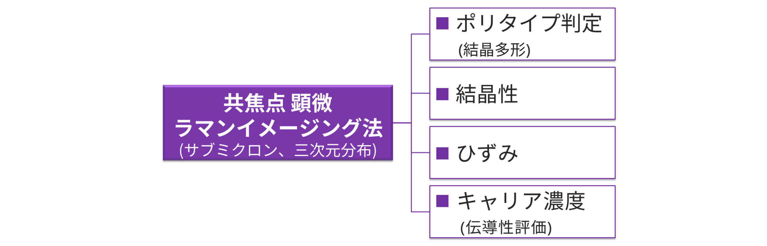 共焦点顕微ラマンイメージング法で評価できるもの
