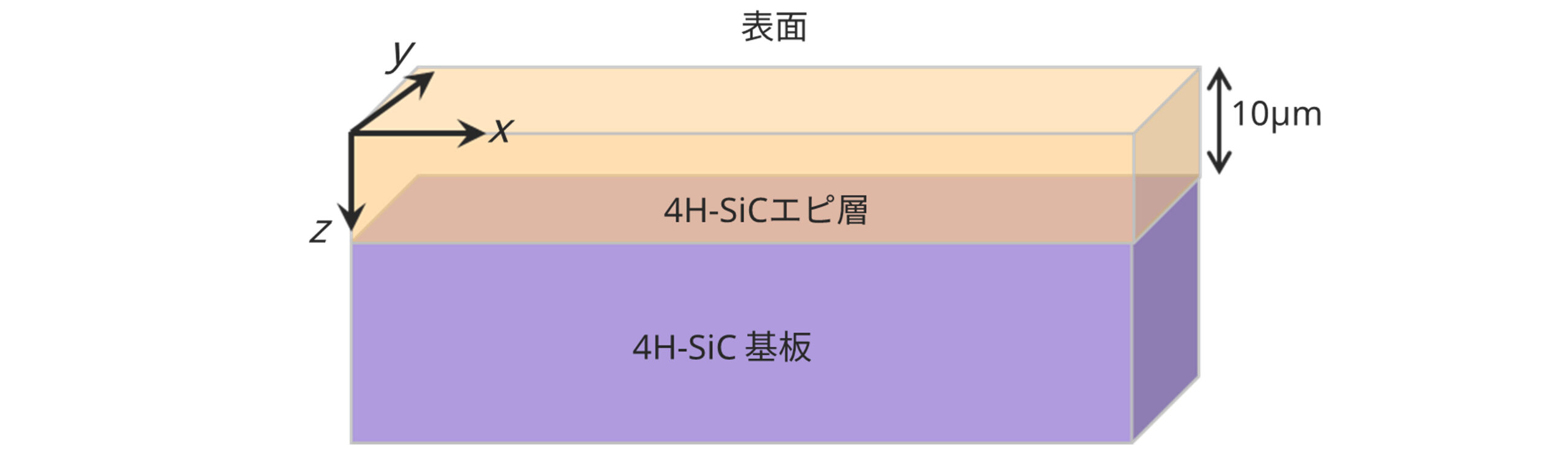 サンプル