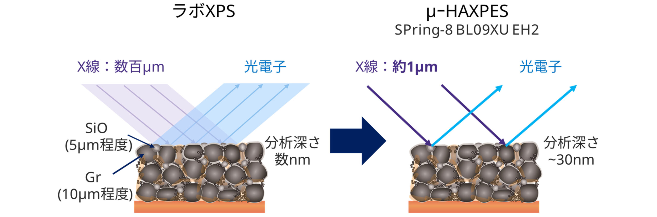 活物質を識別した被膜状態分析