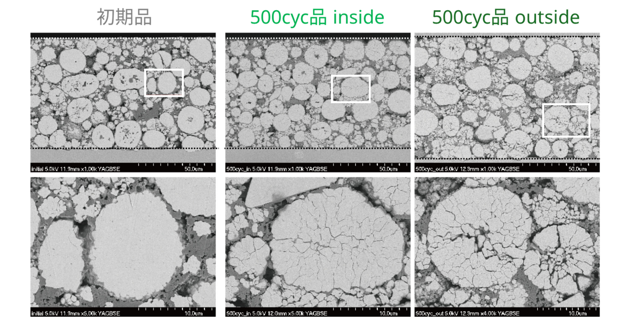 SEMによるLIB正極活物質の割れ観察