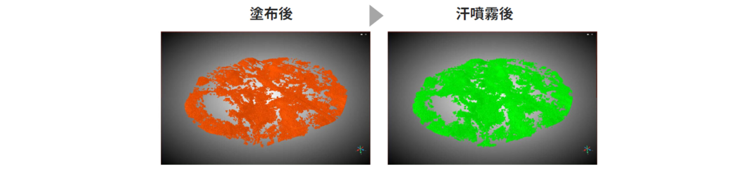 ラマンマッピングによるスキンケア膜の状態比較