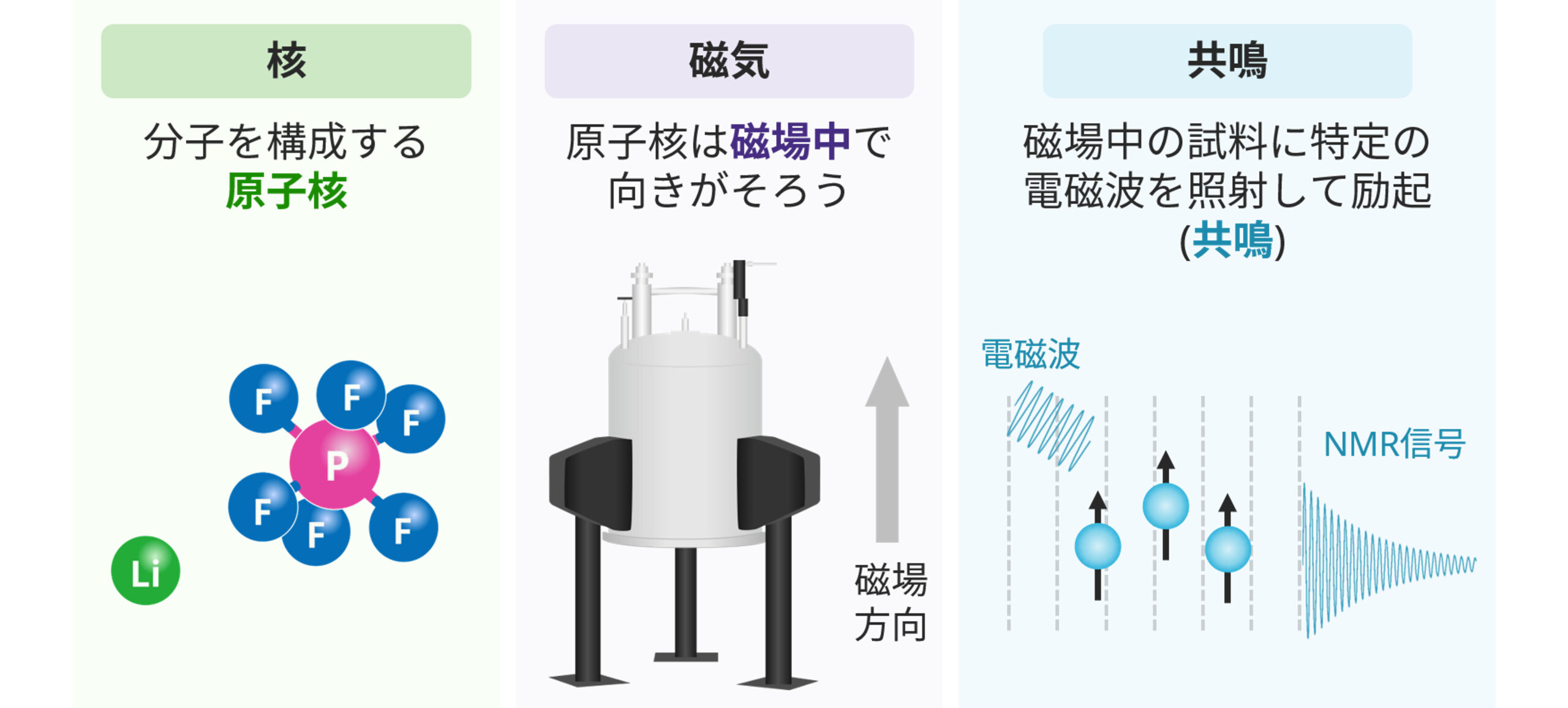 核磁気共鳴分光 (NMR) の基本原理