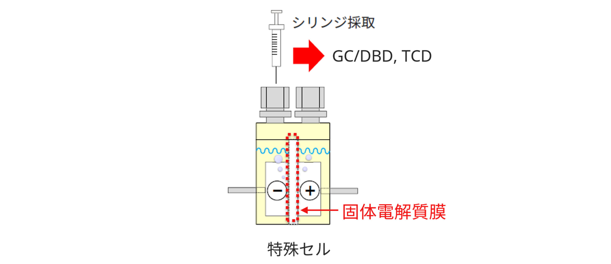 特殊セル