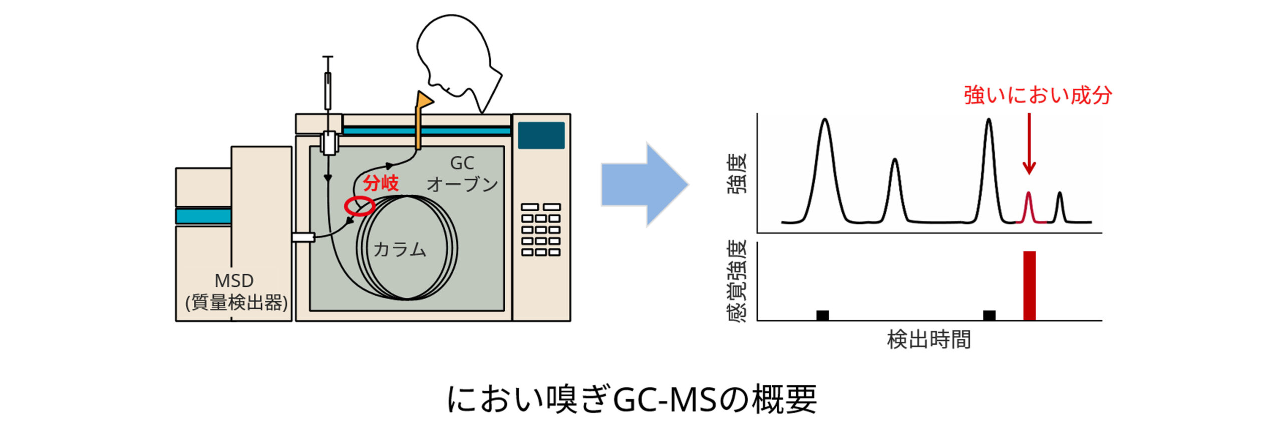 におい嗅ぎGC-MSの概要